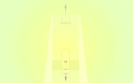 Illustrative diagram of cricket batting stances and shot zones